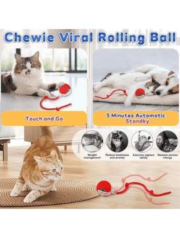 Automatic Rolling Cat Toy Ball with LED Lights – USB Rechargeable Interactive Pet Chase Toy for Indoor Cats & Dogs